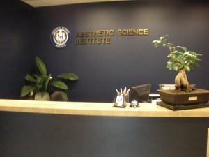 Aesthetic Science Institute (Syracuse, NY)